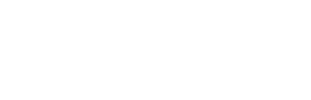 Upstage AI