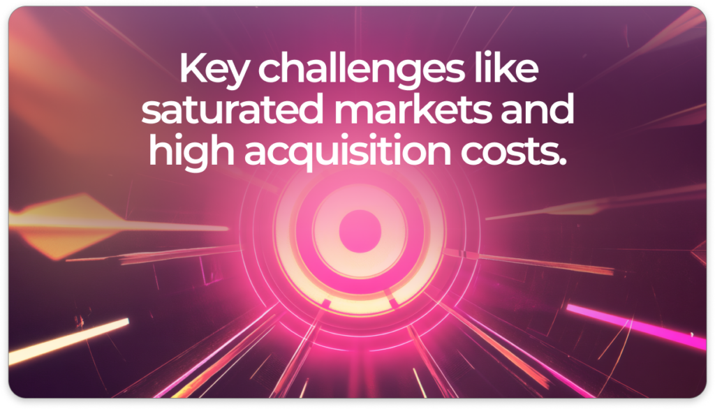 Lack of Market Fit and Customer Acquisition Challenges