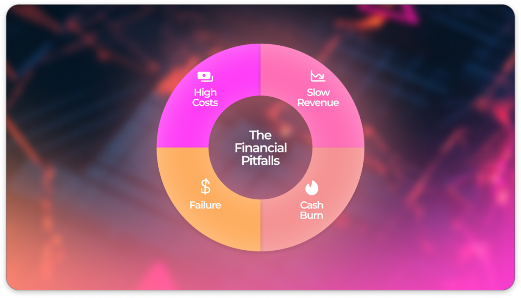 Capital and Cash Flow: The Financial Pitfalls